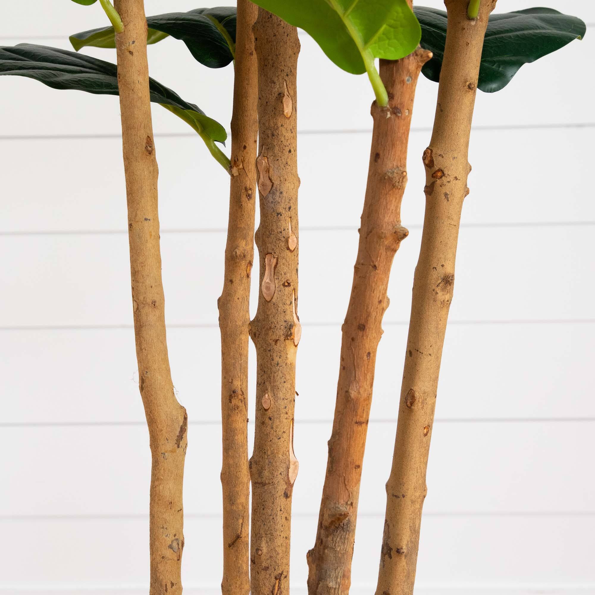 7ft. Fiddle Leaf Tree in Decorative White Planter